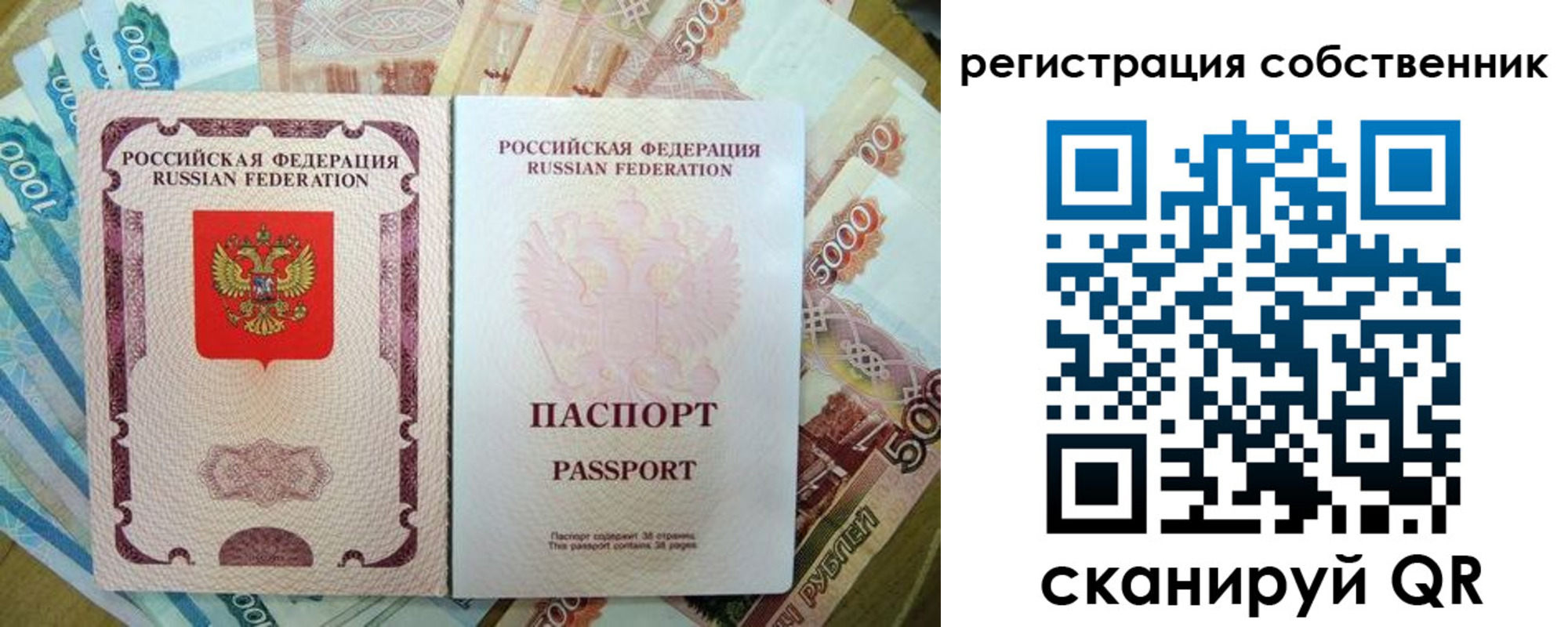 прописка гарантия в Куровском